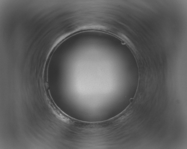 X0000051921044200506241504