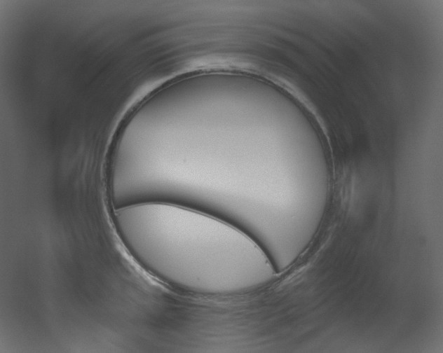 X0000051921045200506241504