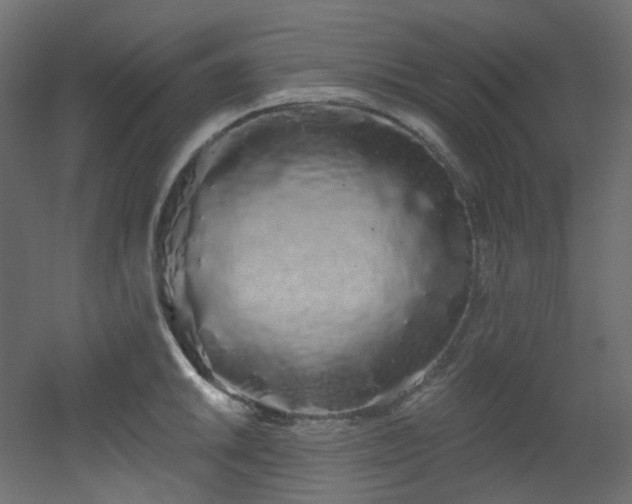 X0000051921046200506241504