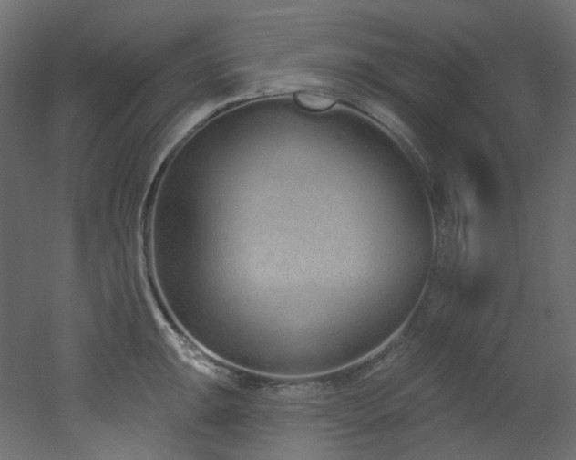 X0000051921047200506241504