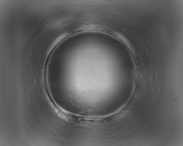 X0000051921050200506241504