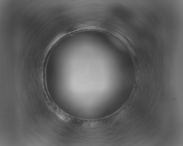 X0000051921051200506241504