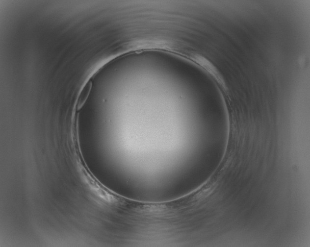 X0000051921052200506241504