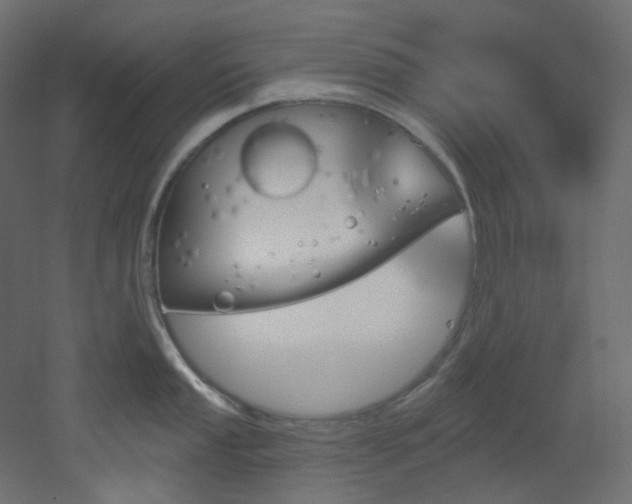 X0000051921053200506241504