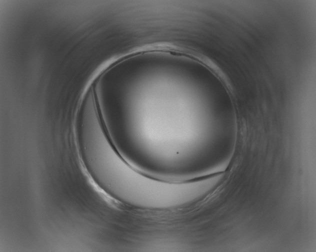 X0000051921054200506241504