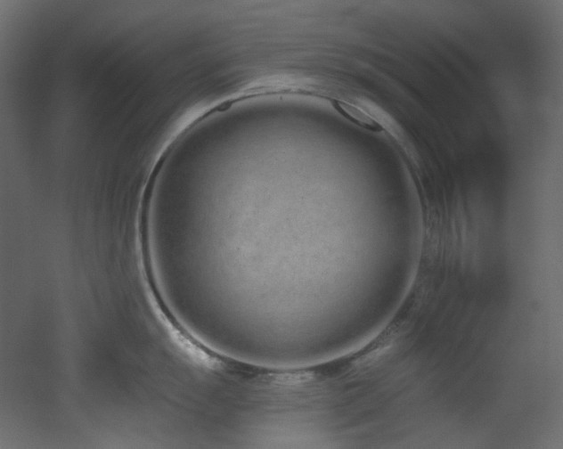 X0000051921055200506241504