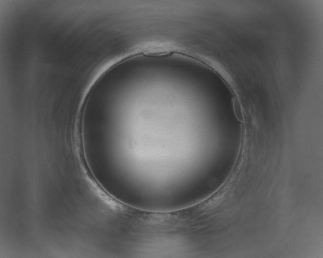 X0000051921056200506241504