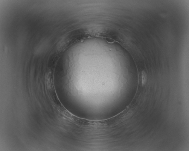 X0000051921059200506241503