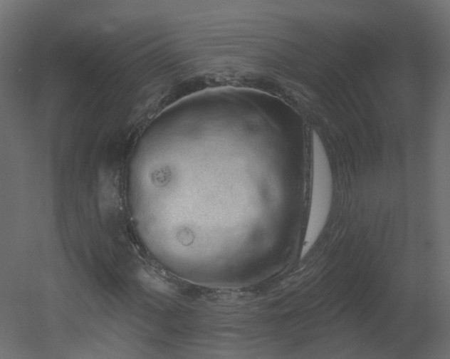 X0000051921060200506241503