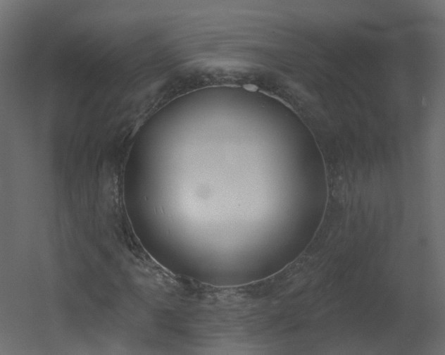 X0000051921061200506241503