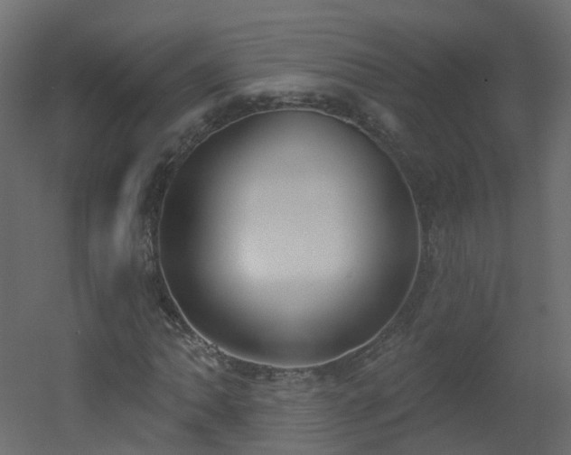 X0000051921062200506241503