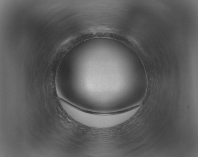 X0000051921063200506241503