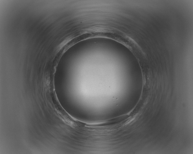 X0000051921065200506241503