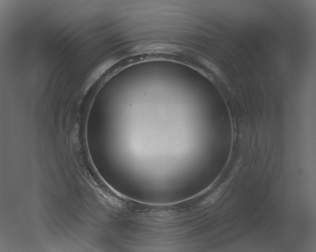 X0000051921066200506241503