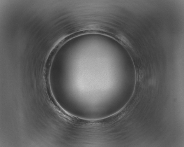X0000051921068200506241503