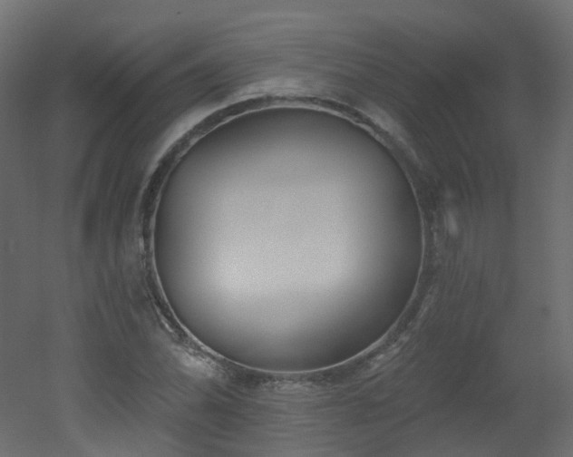 X0000051921070200506241503