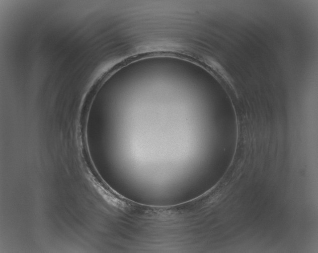 X0000051921072200506241503