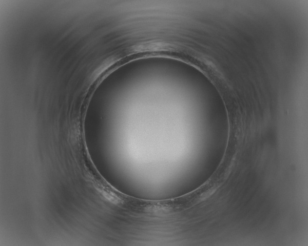 X0000051921073200506241503