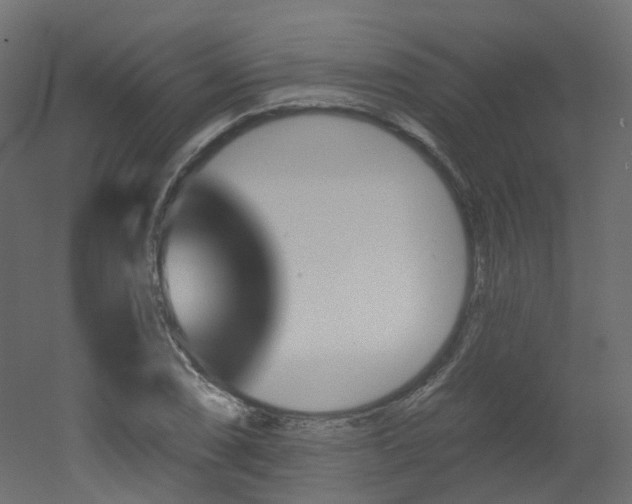 X0000051921074200506241503