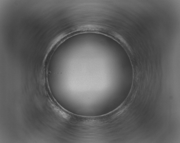 X0000051921075200506241503