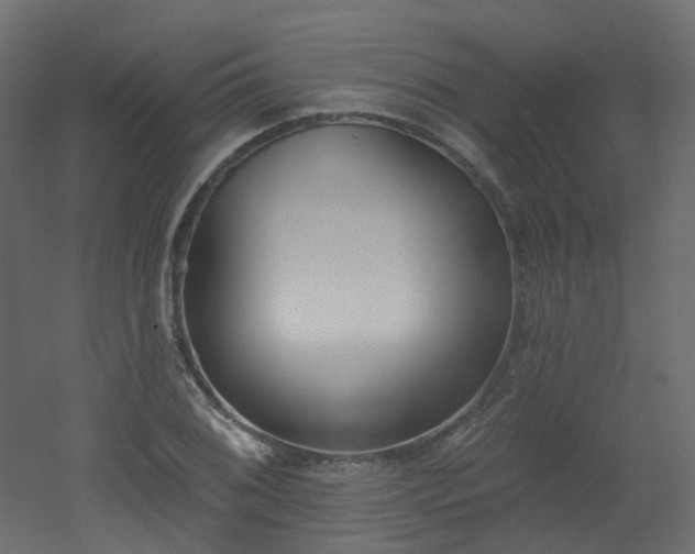 X0000051921076200506241503