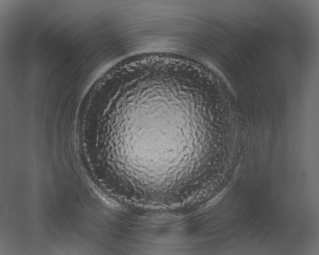 X0000051921077200506241503