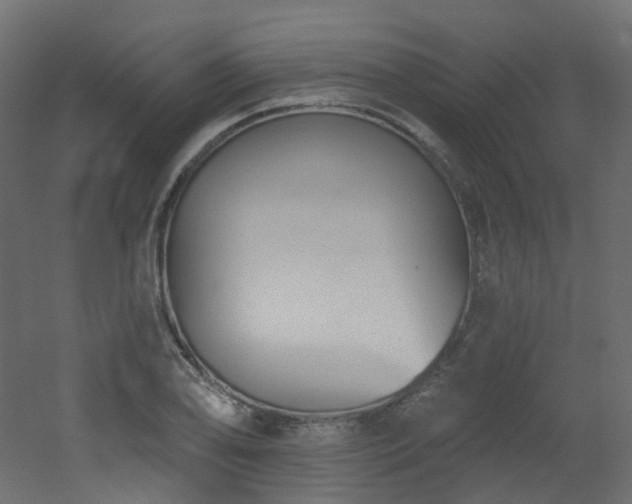 X0000051921078200506241503