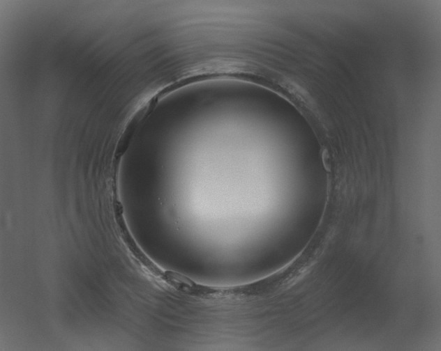X0000051921081200506241503