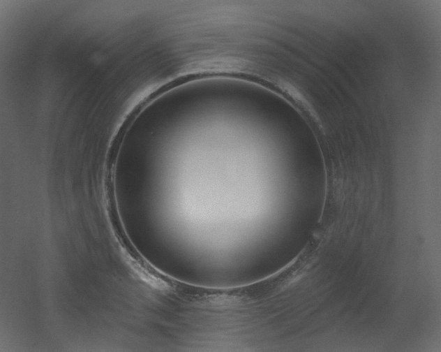 X0000051921085200506241503