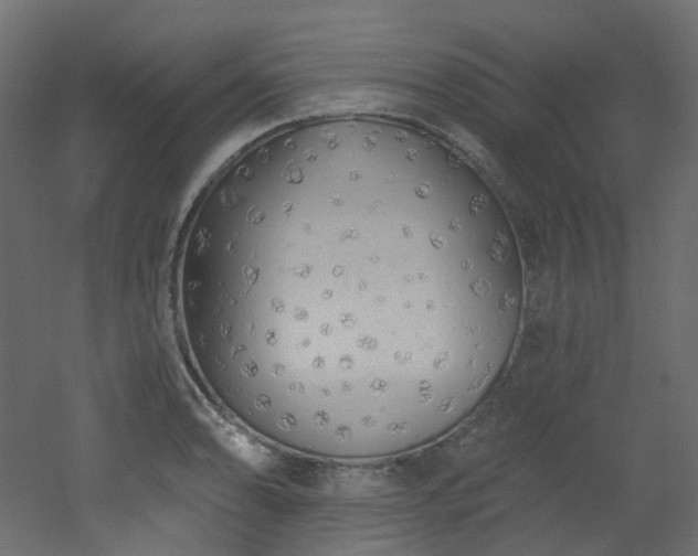 X0000051921086200506241503