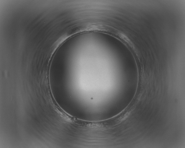 X0000051921089200506241502