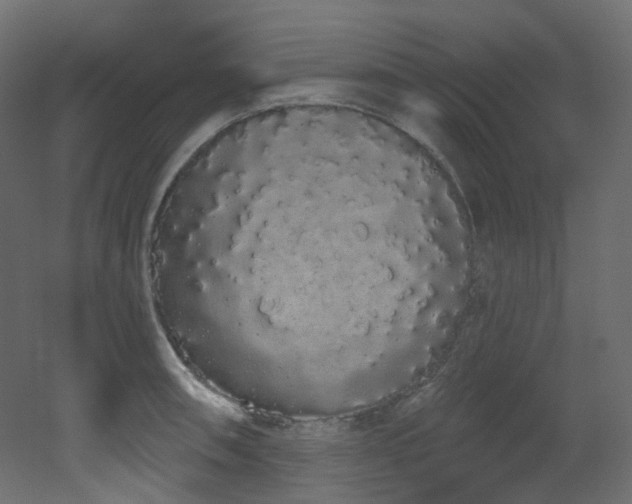 X0000051921090200506241502