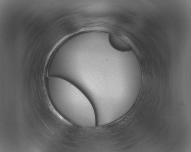 X0000051921092200506241502