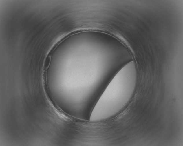 X0000051921093200506241502