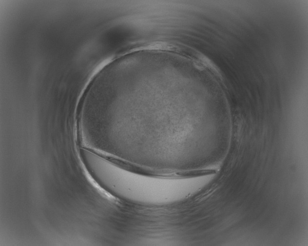 X0000051921095200506241502