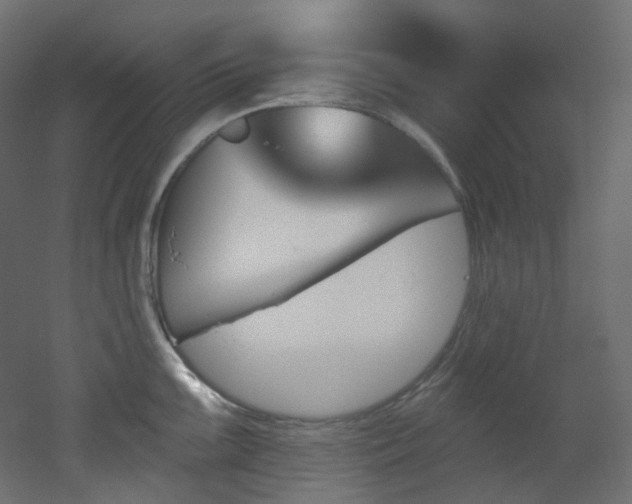 X0000051921099200506241502