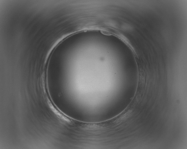 X0000051921100200506241502