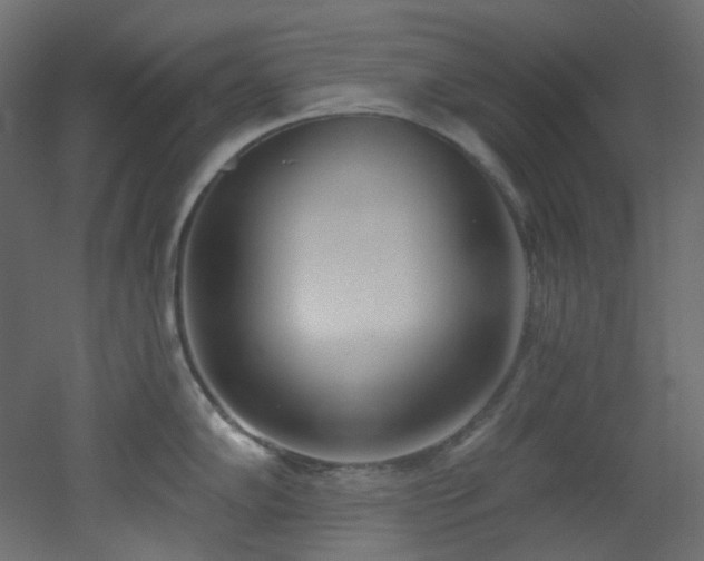 X0000051921102200506241502