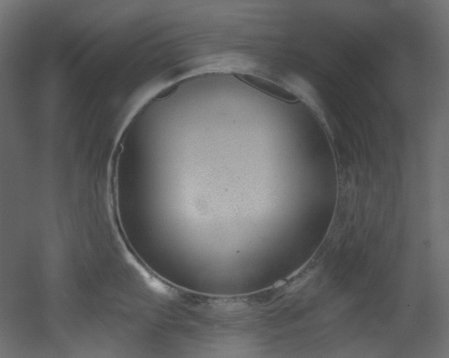X0000051921103200506241502