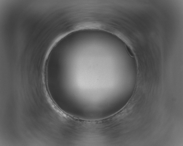 X0000051921104200506241502