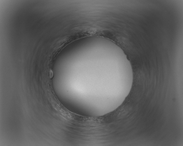 X0000051921105200506241501
