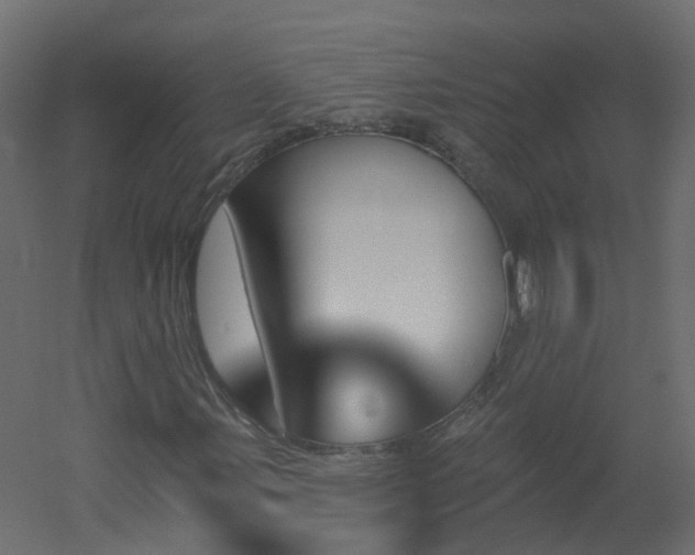 X0000051921107200506241501