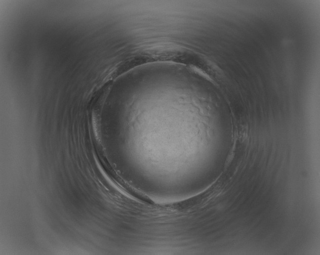 X0000051921108200506241501