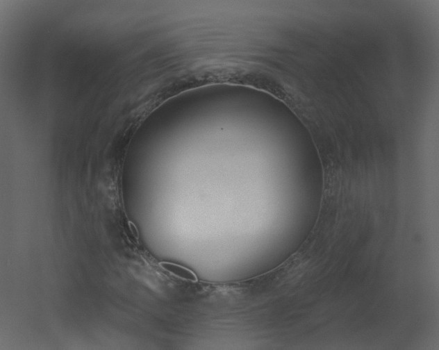 X0000051921109200506241501