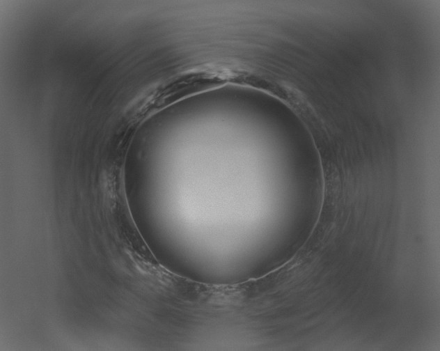 X0000051921110200506241502