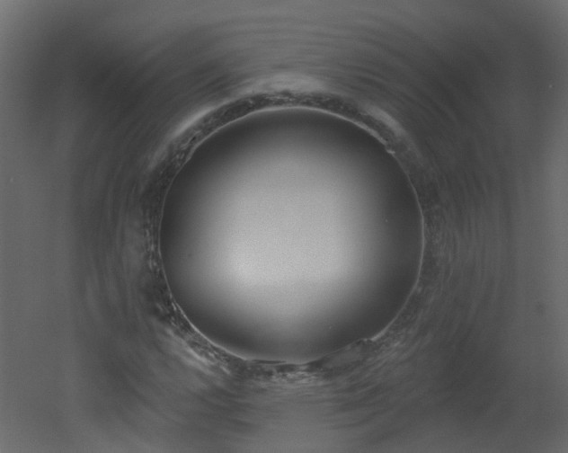 X0000051921112200506241502