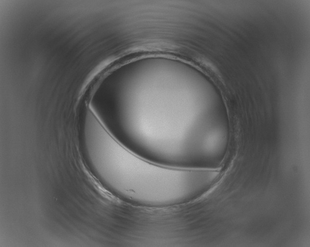 X0000051921114200506241502