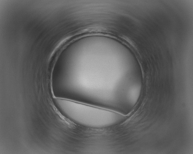 X0000051921115200506241502