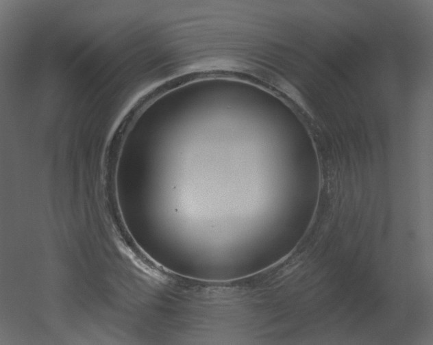X0000051921116200506241502