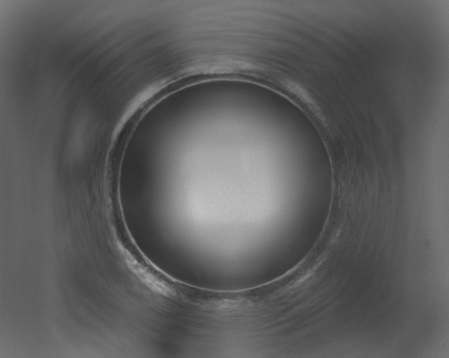 X0000051921122200506241502